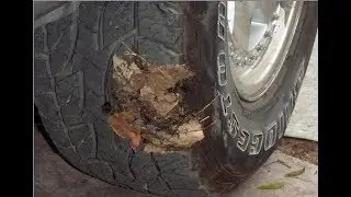 Spintires v10.04.19m (beta) ДЕРЬМО НАЛИПШЕЕ НА КОЛЕСА!
