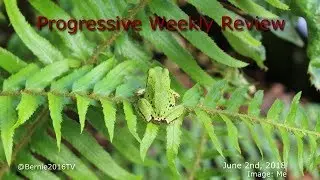 Progressive Weekly Review with Markus, Laura, Joe, & John - June 2nd, 2018