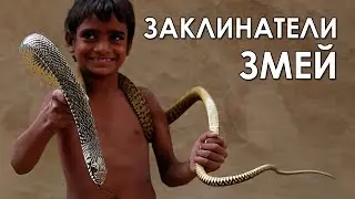 Заклинатели змей. «Вечерний Ейск» от 2021.12.17