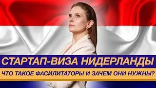 Стартап-виза Нидерланды: Что такое фасилитаторы и зачем они нужны?