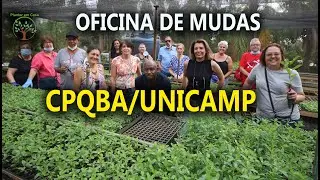 Germinar Sementes e Mudas em Aula na Unicamp