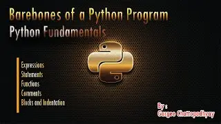 CLASS XI | BAREBONES OF A PYTHON PROGRAM | PYTHON FUNDAMENTALS
