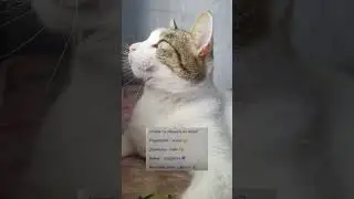 24 октября 2023 г.