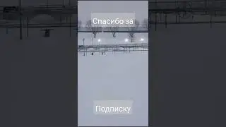 рыбу#форель#разводят#shorts#рыбалка
