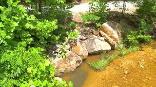 5 Acres on Lake of the Ozarks with Creek, Clearing, and Lake Access!