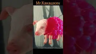 Какашка мемы мышка сосиска кошка картошка. Сказка колобок новая версия