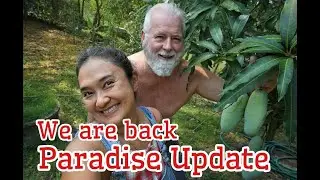 Paradise Update