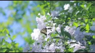 Yeryüzünden Rabbe Yükselen Bir Rahmet Duası #dua