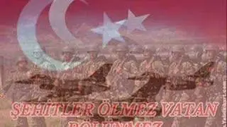 gemlik asker