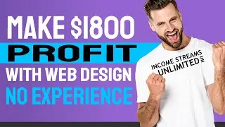 How To Make 1800$ Profit Providing Web Design Services With NO Experience