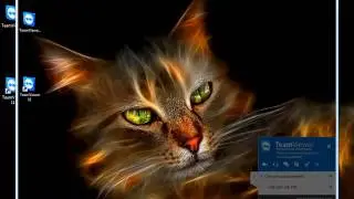 TeamViewer