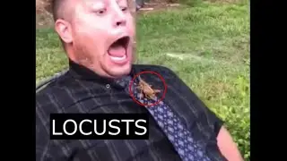 GRASSHOPPERS | 32 | Funny videos compilation