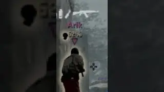 ПРЯМО В ЛЫСИНУ 
