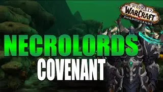 ALL THE GRIPS! Necrolords Covenant Preview Death Knight Shadowlands Beta