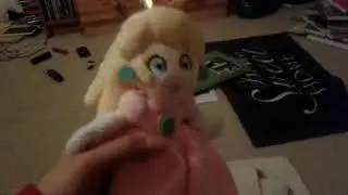 Shadow queen peach calls princess peach stupid/grounded.