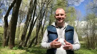 Как открывается Предназначение через Род?