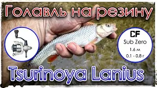 Голавль на резину. Мормышинг. Tsurinoya Lanius 800.