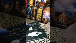 🦊💯ЧТО ЭТОМУ ЧЕЛОВЕКУ НУЖНО ОТ ВАС⁉️ 