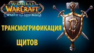 Трансмогрификация щитов в WoW  ( часть 2 )