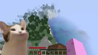 Pop cat plays minecraft