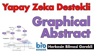 Yapay Zeka Destekli Graphical Abstract Yapıyoruz