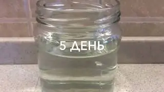 14 дней