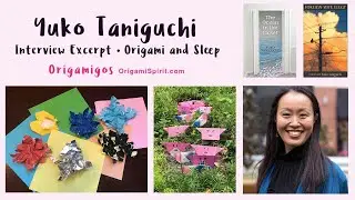 Origamigos Interview • Yuko Taniguchi Excerpt