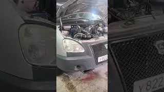 Не было счастья, да несчастье помогло 😊 тг https://t.me/GazelleForYou #газелистка33 #работанагазели