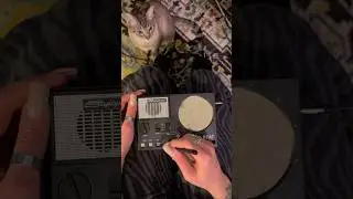 One of the most unusual music toys I ever played ✍️🎶🐱#stylophonebeat