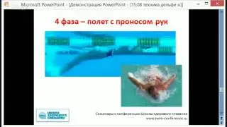 "Базовые понятия техники плавания способом дельфин"