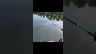 Highlight for fishing🤩 #fish #fishing #shimano #рыбалка #fishingvideo #pike #pikefishing #higlights