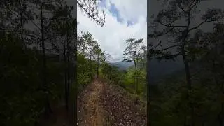 This is one of the reasons why you should visit Chiang Mai, Thailand 🏞️🇹🇭