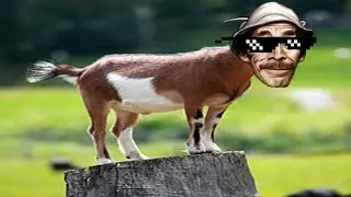 TOP 5 MEJORES TURN DOWN FOR WHAT DE DON RAMÓN DEL CHAVO DEL 8