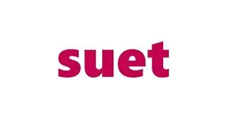 Suet Meaning | Definition of Suet