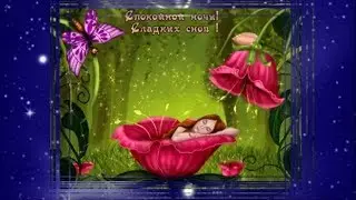 Чудесных снов тебе, моя родная! Спокойной ночи, любимая!