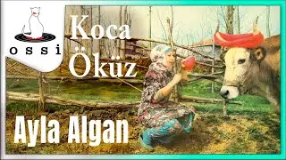 Ayla Algan - Koca Öküz