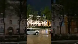 что за розы, ШМА?