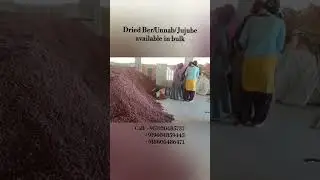 Dried Unnab/ber/jujube available call 9404859445, 8020485737, 8605486471