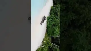 Riding a Tractor on Beach 海島拖拉機上的一群打工仔