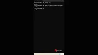 How to determine the OS architecture 32-bit or 64-bit on a Linux