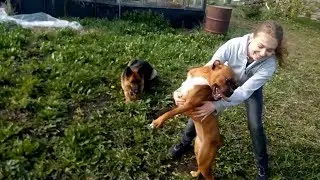 Что делают девушки в деревне