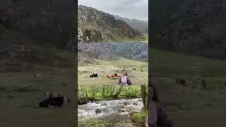 Алтай Великолепный …(2023)