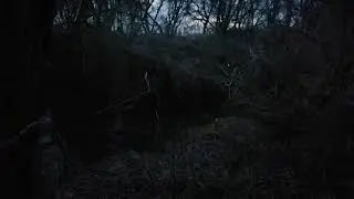 Бобриные брачные игры, весна)