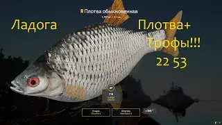 рр4! Ладога. Плотва и трофеи есть!