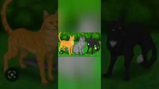 Клип Белая ночь | Коты воители крутобок горелый огнезвёзд