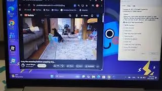 (REQUESTED) Lucy The Amazing Balloon Popping-Dog Has BSOD