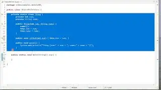 Primitive & Object Reference Variables in Java
