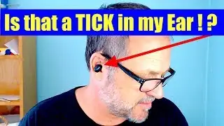 AD_Test/Unboxing of Alterola IE600 wireless earbuds with charging case using an iPhone 8