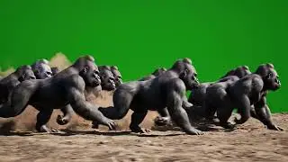 Insane Wild Animal Stampede Green Screen | Crazy Wild Animals Running In Fire