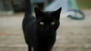 Just an a6700 test :)